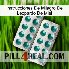 Leopard Miracle Of Honey Instructions dapoxetine2